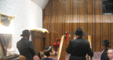פעולות לרפואה שלימה