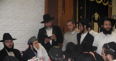 גלרייה שבועית מ770