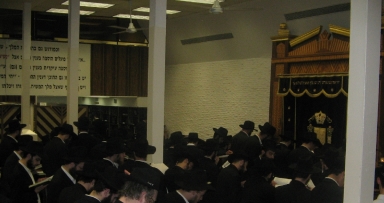 תהילים לרפואה שלימה