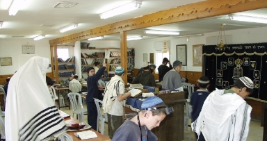 שבת אחדות לתלמידי שיעור ב' בצפת