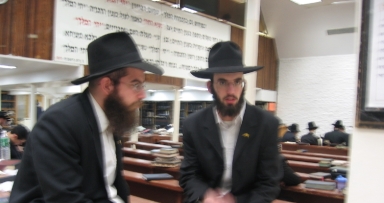טרוף טורף אפרים... גלריית תמונות (ב')