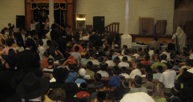 הגלריה השבועית מ770 - פרשת בלק
