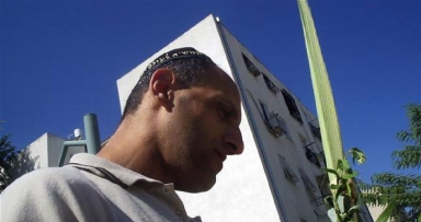 מבצע לולב בבית דגן