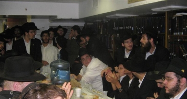 אורחי המלך ב'פינת החי'