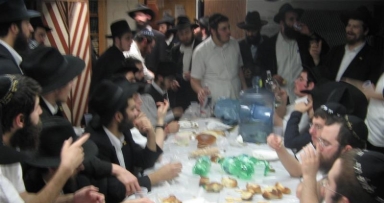 פינת 'חי וקיים' בהשתתפות השלוחים