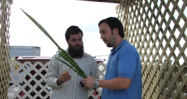 מבצע לולב ברחבי פורט לודרדייל