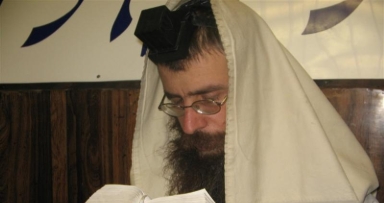 השלוחים באים לשבת בראשית