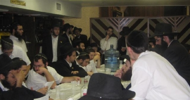 פינת החי בבית משיח 770
