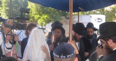 החתונה שעברה מניו-אורלינס...
