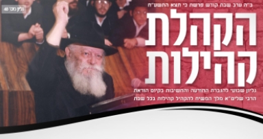 הקהלת קהילות - פרשת כי תצא תשע''ח