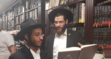 תמונת היום • ושבו בנים לגבולם