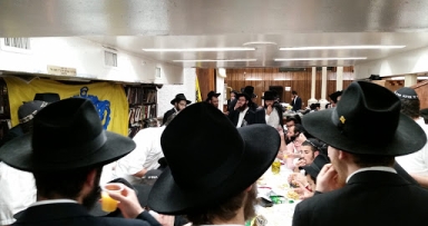 בפינת החי מרגישים שהנה זה בא!