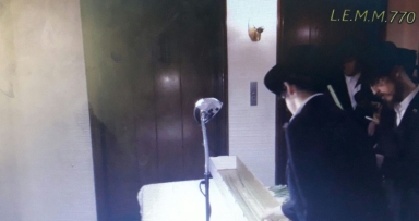 חלוקת ד' מינים של הרבי שליט"א מלך המשיח 