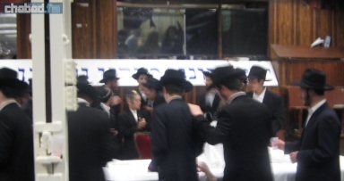 חמישים אלף חסידים בחלוקת כוס של ברכה