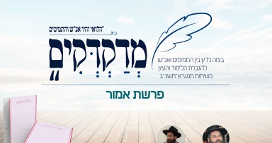 גליון 'מדקדקים' על שיחת ש"פ אמור תנש"א