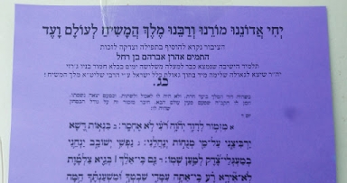 ממשיכים בפעולות לשחרור התמים
