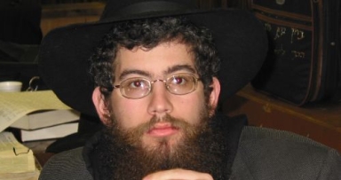 טרוף טורף אפרים... גלריית תמונות