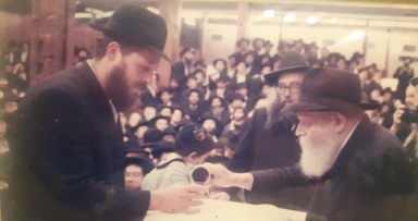 זמני התפילות של משפחת קלי 
