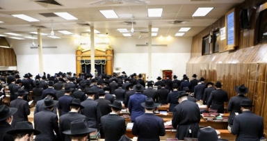 פרשת ויקרא בחצרות בית ה' • גלריה ויומן 