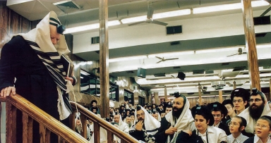 מלך ביופיו • תמונה נדירה של המלך המשיח 