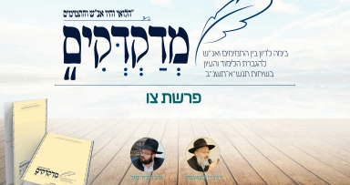 'מדקדקים' על שיחת ש"פ צו תנש"א 