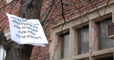 תזכורת: יום האחרון לברכת האילנות 