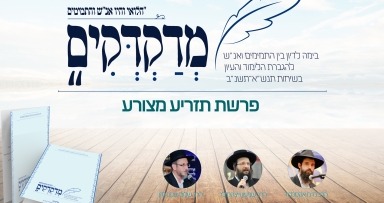 גליון 'מדקדקים' על שיחת ש"פ תזריע־מצורע 