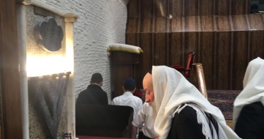 שבוע של פסח בבית משיח • גלריה ויומן 