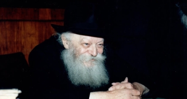תמונות בפרסום ראשון מי"א אייר תשמ"ט