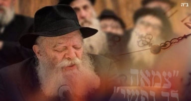 צופים במראות קודש לרפואת הרב זמרוני 