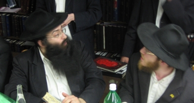 שיעור עיוני בפינת החי