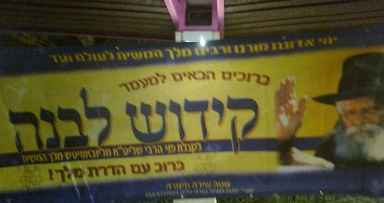 ובקשו את דוד מלכם בנצרת עלית