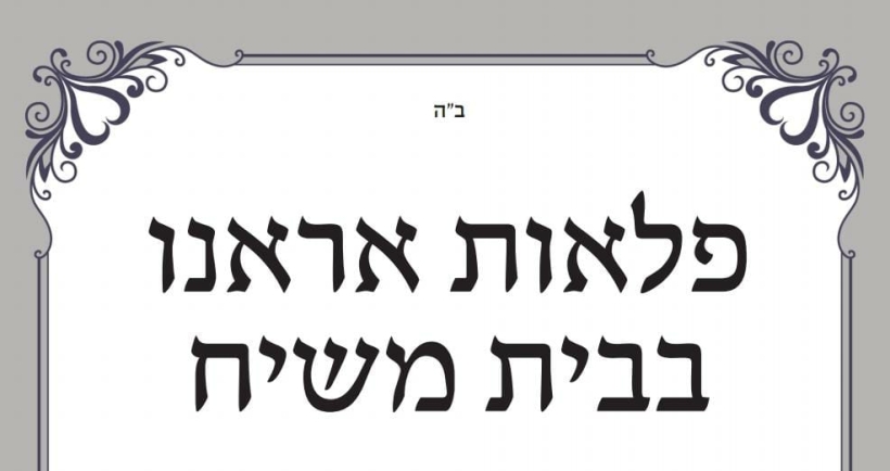 יומן מחודש תמוז בבית משיח