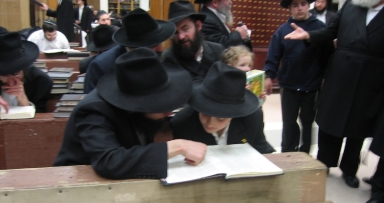 לימוד יומי במסכת סוטה
