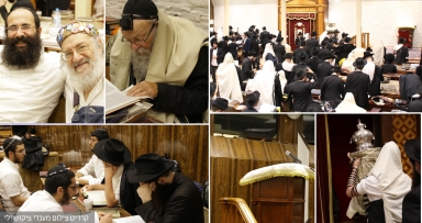 שבוע פרשת ראה בבית משיח