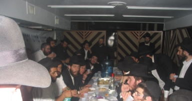 חיים ב'פינת החי'