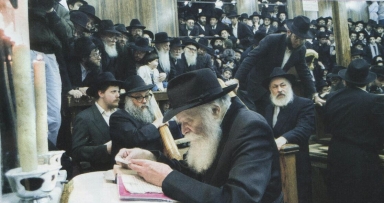 יומן ש"פ עקב במחיצת מלך המשיח 