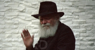 תמונה נדירה 