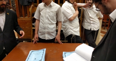 תמונת היום 