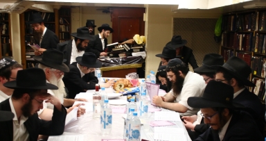 התוועדות פינת החי 