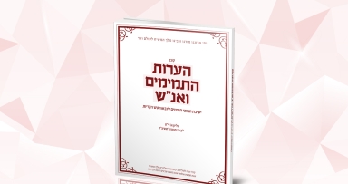 קובץ הערות ישיבת תות"ל בקריות