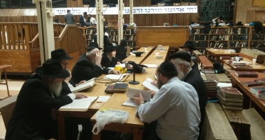 תמונות היום 