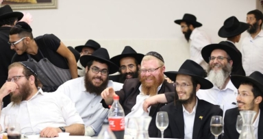 אלע צפתים צוזאמען - בדרום