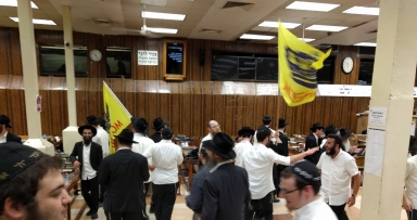 שבוע פרשת פנחס בבית משיח