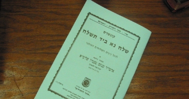 ההכנות לכינוס השלוחים העולמי בעיצומן