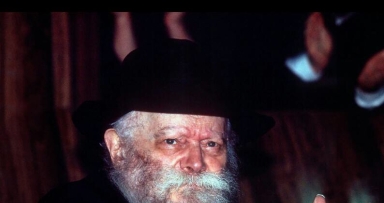 תמונה בפרסום ראשון 