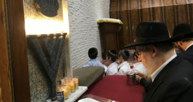 תמונת היום 