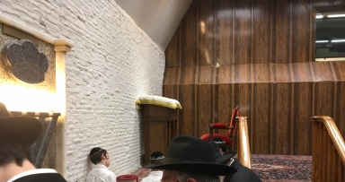 שבוע פרשת נשא בבית משיח - גלריה 
