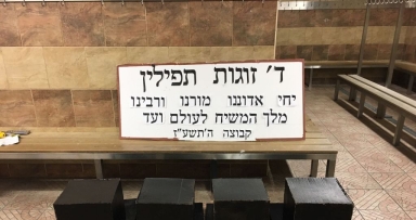 תמונת היום 
