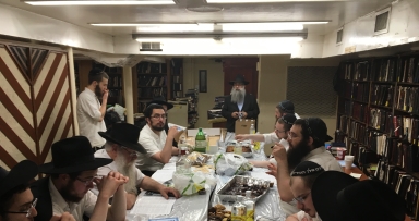 בר מצווה בפינת החי 